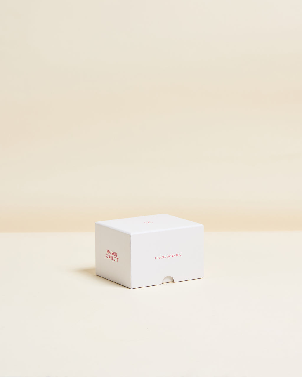 Caja de viaje para un reloj James con 1 compartimento