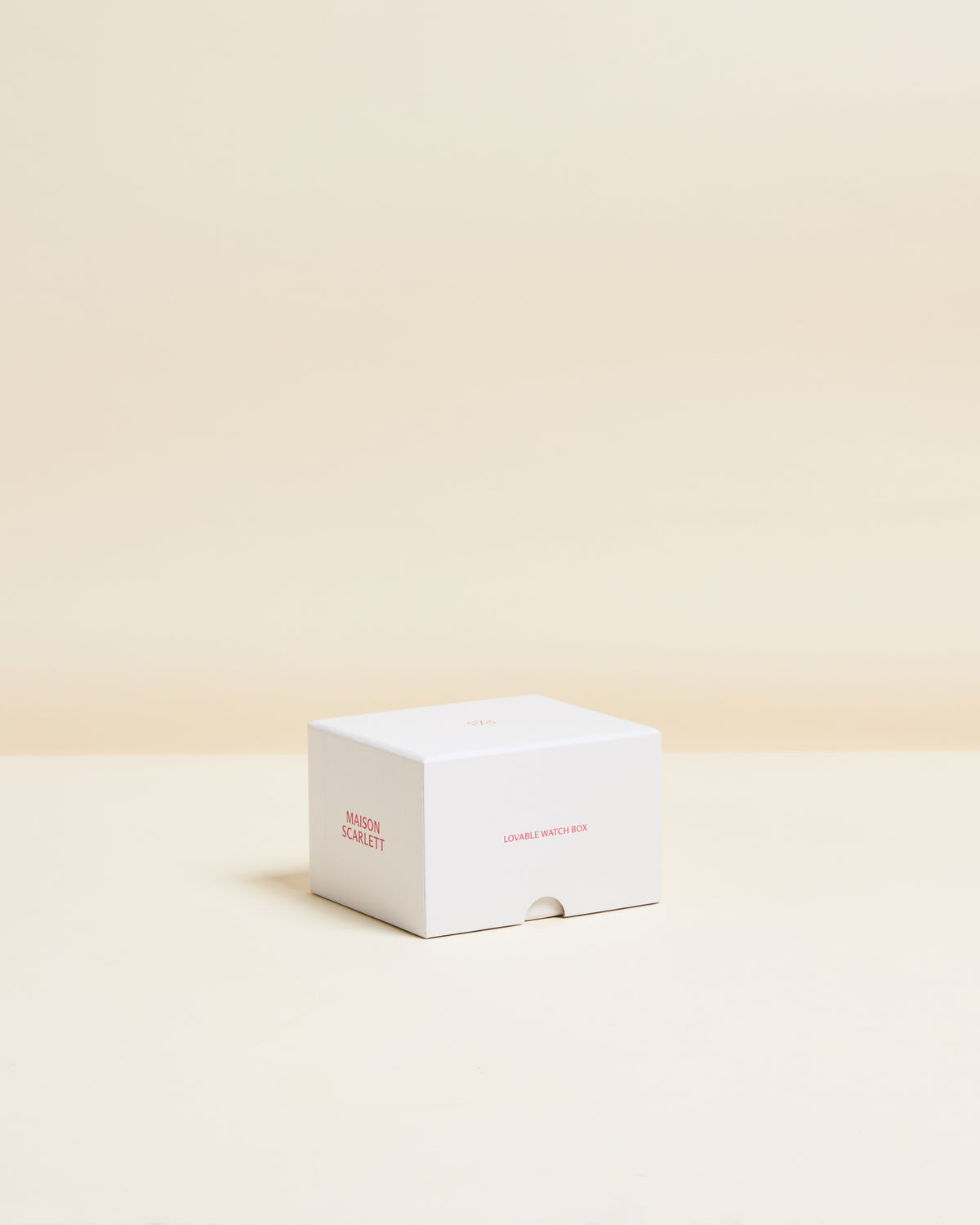 Caja de viaje para un reloj James con 1 compartimento